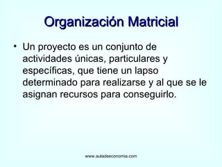 Organización Matricial Un proyecto es un conjunto de actividades únicas, particulares y específicas, que tiene un lapso determinado para realizarse y al que se le asignan recursos para conseguirlo. www.auladeeconomia.com 