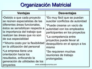 Organización Matricial www.auladeeconomia.com Ventajas Desventajas Debido a que cada proyecto se reúnen especialistas de las diferentes áreas funcionales, éstos se sensibilizan respecto a la importancia del trabajo que realizan las áreas que no son de sus especialidad *Ahorra costo por la flexibilidad en la utilización del personal La empresa tiene una orientación hacia los resultados, enfocando la generación de utilidades de los proyectos *Es muy fácil que se puedan suscitar conflictos de autoridad *Puede crearse un vacío de autoridad con los empleados participantes en los proyectos *La competencia entre proyectos puede llevar al desequilibrio en el apoyo a los mismo *Se requieren muchas reuniones de trabajo prolongadas. 
