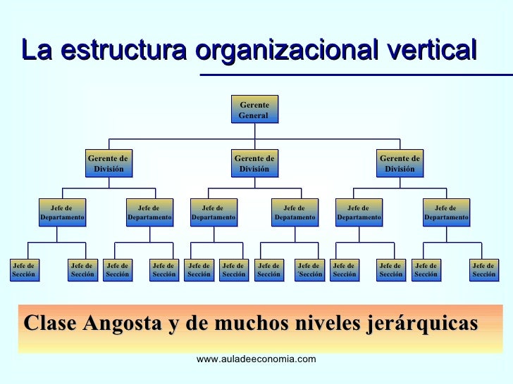 Organización