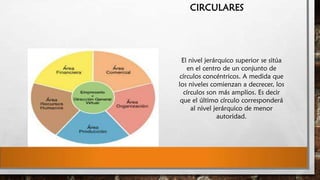 CIRCULARES

El nivel jerárquico superior se sitúa
en el centro de un conjunto de
círculos concéntricos. A medida que
los niveles comienzan a decrecer, los
círculos son más amplios. Es decir
que el último círculo corresponderá
al nivel jerárquico de menor
autoridad.

 