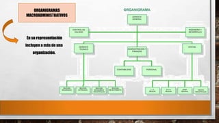 ORGANIGRAMAS
MACROADMINISTRATIVOS

En su representación

incluyen a más de una
organización.

 