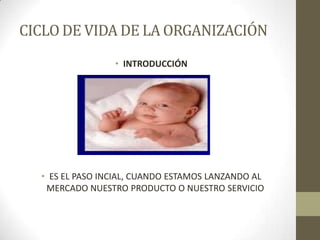 CICLO DE VIDA DE LA ORGANIZACIÓN
• INTRODUCCIÓN
• ES EL PASO INCIAL, CUANDO ESTAMOS LANZANDO AL
MERCADO NUESTRO PRODUCTO O NUESTRO SERVICIO
 