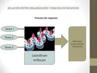 RELACIÓNENTREORGANIZACIÓNYPROCESODENEGOCIOS
Proceso de negocios
Tarea 1
Tarea 3
Tarea 2
coordinan
enfocan
Materiales
Conocimientos
información
 