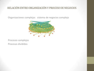 RELACIÓNENTREORGANIZACIÓNYPROCESODENEGOCIOS
Organizaciones complejas sistema de negocios complejo
Procesos complejos
Procesos divididos
 