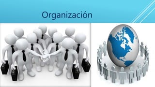 Organización
 