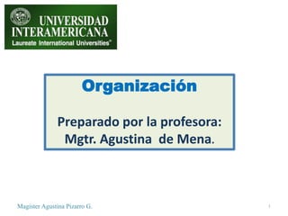 Organización

              Preparado por la profesora:
               Mgtr. Agustina de Mena.



Magister Agustina Pizarro G.                1
 
