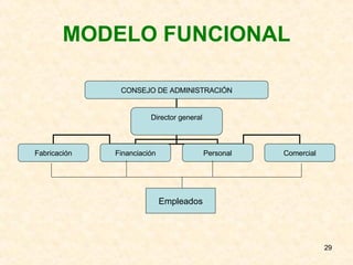 MODELO FUNCIONAL Empleados Empleados CONSEJO DE ADMINISTRACIÓN Director general Fabricación Financiación Personal Comercial 