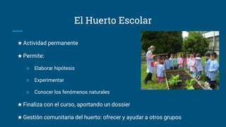 El Huerto Escolar
★ Actividad permanente
★ Permite:
○ Elaborar hipótesis
○ Experimentar
○ Conocer los fenómenos naturales
★ Finaliza con el curso, aportando un dossier
★ Gestión comunitaria del huerto: ofrecer y ayudar a otros grupos
 