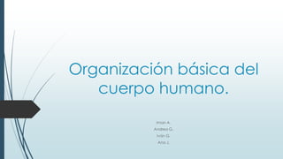 Organización básica del
cuerpo humano.
Iman A.
Andrea G.
Iván G.
Ana J.
 