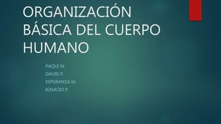 ORGANIZACIÓN
BÁSICA DEL CUERPO
HUMANO
PAQUI M.
DAVID P.
ESPERANZA M.
IGNACIO P.
 