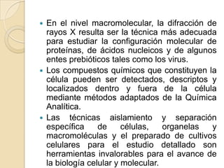  En el nivel macromolecular, la difracción de
  rayos X resulta ser la técnica más adecuada
  para estudiar la configuración molecular de
  proteínas, de ácidos nucleicos y de algunos
  entes prebióticos tales como los virus.
 Los compuestos químicos que constituyen la
  célula pueden ser detectados, descriptos y
  localizados dentro y fuera de la célula
  mediante métodos adaptados de la Química
  Analítica.
 Las técnicas aislamiento y separación
  específica     de     células,   organelas y
  macromoléculas y el preparado de cultivos
  celulares para el estudio detallado son
  herramientas invalorables para el avance de
  la biología celular y molecular.
 