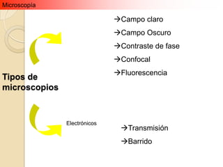 Microscopía

                              Campo claro
                              Campo Oscuro
               Ópticos        Contraste de fase
                              Confocal
                              Fluorescencia
Tipos de
microscopios



               Electrónicos
                               Transmisión
                               Barrido
 