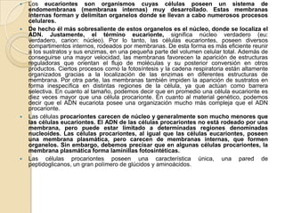    Los eucariontes son organismos cuyas células poseen un sistema de
    endomembranas (membranas internas) muy desarrollado. Estas membranas
    internas forman y delimitan organelos donde se llevan a cabo numerosos procesos
    celulares.
   De hecho él más sobresaliente de estos organelos es el núcleo, donde se localiza el
    ADN. Justamente, el término eucarionte, significa núcleo verdadero (eu:
    verdadero, carion: núcleo). Por lo tanto, las células eucariontes, poseen diversos
    compartimentos internos, rodeados por membranas. De esta forma es más eficiente reunir
    a los sustratos y sus enzimas, en una pequeña parte del volumen celular total. Además de
    conseguirse una mayor velocidad, las membranas favorecen la aparición de estructuras
    reguladoras que orientan el flujo de moléculas y su posterior conversión en otros
    productos. Ciertos procesos como la fotosíntesis y la cadena respiratoria están altamente
    organizados gracias a la localización de las enzimas en diferentes estructuras de
    membrana. Por otra parte, las membranas también impiden la aparición de sustratos en
    forma inespecífica en distintas regiones de la célula, ya que actúan como barrera
    selectiva. En cuanto al tamaño, podemos decir que en promedio una célula eucarionte es
    diez veces mayor que una célula procarionte. En cuanto al material genético, podemos
    decir que el ADN eucariota posee una organización mucho más compleja que el ADN
    procarionte.
   Las células procariontes carecen de núcleo y generalmente son mucho menores que
    las células eucariontes. El ADN de las células procariontes no está rodeado por una
    membrana, pero puede estar limitado a determinadas regiones denominadas
    nucleoides. Las células procariontes, al igual que las células eucariontes, poseen
    una membrana plasmática, pero carecen de membranas internas, que formen
    organelos. Sin embargo, debemos precisar que en algunas células procariontes, la
    membrana plasmática forma laminillas fotosintéticas.
   Las células procariontes poseen una característica única, una pared de
    peptidoglicanos, un gran polímero de glúcidos y aminoácidos.
 