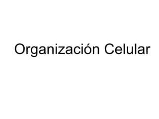 Organización Celular
 