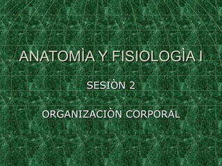 ANATOMÌA Y FISIOLOGÌA I SESIÒN 2 ORGANIZACIÒN CORPORAL 