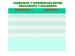 PARECIDOS Y DIFERENCIAS ENTRE PROCARIOTA Y EUCARIOTA