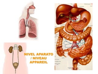 NIVEL APARATO / NIVEAU APPAREIL