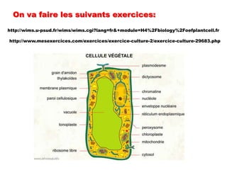 On va faire les suivantsexercices:http://wims.u-psud.fr/wims/wims.cgi?lang=fr&+module=H4%2Fbiology%2Foefplantcell.frhttp://www.mesexercices.com/exercices/exercice-culture-2/exercice-culture-29683.php
