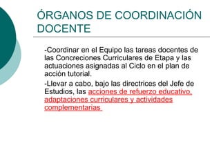 ÓRGANOS DE COORDINACIÓN
DOCENTE
-Coordinar en el Equipo las tareas docentes de
las Concreciones Curriculares de Etapa y las
actuaciones asignadas al Ciclo en el plan de
acción tutorial.
-Llevar a cabo, bajo las directrices del Jefe de
Estudios, las acciones de refuerzo educativo,
adaptaciones curriculares y actividades
complementarias

 