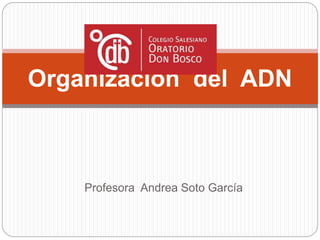 Profesora Andrea Soto García
Organización del ADN
 