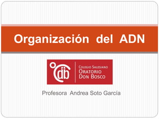 Profesora Andrea Soto García
Organización del ADN
 