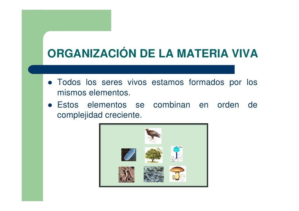 Organización de la materia viva. curso