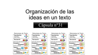 Organización de las
ideas en un texto
Cápsula n°31
 