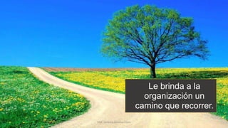 Le brinda a la
organización un
camino que recorrer.
MM. Verónica Bolaños López
 