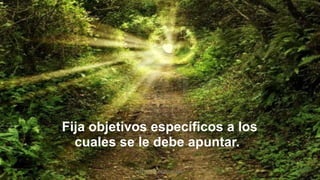 Fija objetivos específicos a los
cuales se le debe apuntar.
MM. Verónica Bolaños López
 