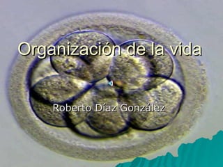Organización de la vida Roberto Díaz González  
