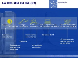 Organización del BCE