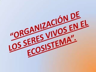 Organización de los seres vivos en el ecosistema | PPTX