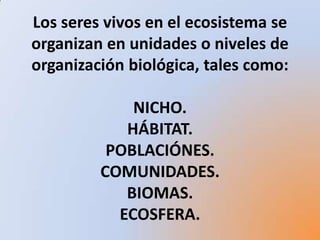 Organización de los seres vivos en el ecosistema | PPTX