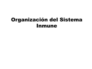 Organización del Sistema
Inmune
 