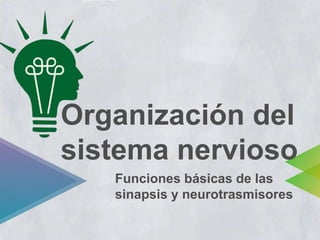 Organización del
sistema nervioso
Funciones básicas de las
sinapsis y neurotrasmisores
 