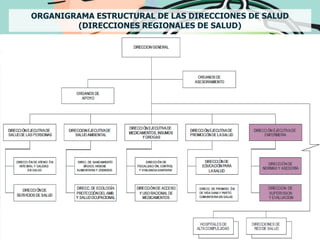 ORGANIGRAMA ESTRUCTURAL DE LAS DIRECCIONES DE SALUD
        (DIRECCIONES REGIONALES DE SALUD)
 
