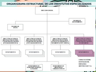 ORGANIGRAMA ESTRUCTURAL DE LOS INSTITUTOS ESPECIALIZADOS
 