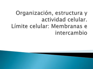 Organización, estructura y actividad celular.Límite celular: Membranas e intercambio 