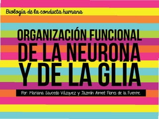 Biología de la conducta humana

Por: Mariana Saucedo Vázquez y Jazmín Aimeé Flores de la Fuente.

 