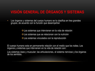 VISIÓN GENERAL DE ÓRGANOS Y SISTEMAS
• Los órganos y sistemas del cuerpo humano se lo clasifica en tres grandes
grupos, de acuerdo con la función que desempeñan
Los sistemas que intervienen en la vida de relación
Los sistemas que se relacionan con la nutrición
Los sistemas vinculados con la reproducción
El cuerpo humano esta en permanente relación con el medio que los rodea. Los
órganos y sistemas que intervienen en la vida de relación son:
Los sistemas óseo y muscular; las articulaciones, el sistema nervioso y los órganos
de los sentidos.
 