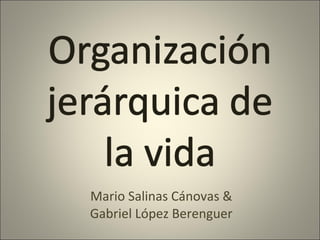 Mario Salinas Cánovas & Gabriel López Berenguer 