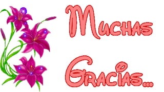 Organización judicialrd