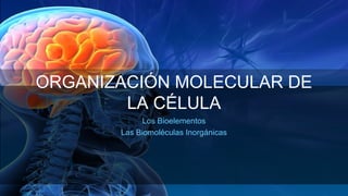 ORGANIZACIÓN MOLECULAR DE
LA CÉLULA
Los Bioelementos
Las Biomoléculas Inorgánicas
 