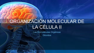 ORGANIZACIÓN MOLECULAR DE
LA CÉLULA II
Las Biomoléculas Orgánicas
Glúcidos
 