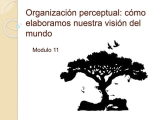 Organización perceptual: cómo
elaboramos nuestra visión del
mundo
Modulo 11
 