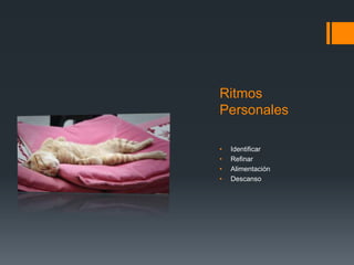 Ritmos
Personales
• Identificar
• Refinar
• Alimentación
• Descanso
 