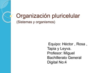 Organización pluricelular
(Sistemas y organismos)
Equipo: Héctor , Rosa ,
Tapia y Leyva.
Profesor: Miguel
Bachillerato General
Digital No:4
 