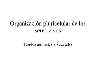 Organización pluricelular de los
seres vivos
Tejidos animales y vegetales
 