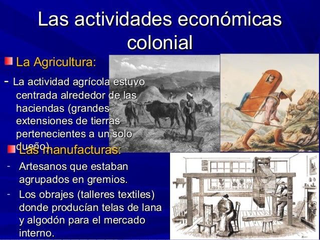 Organización política del virreinato