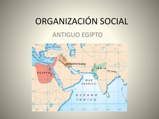 ORGANIZACIÓN SOCIAL 
ANTIGUO EGIPTO 
 